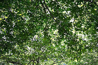 《魔戒：咕噜》重视对话系统 内心冲突机制有特色